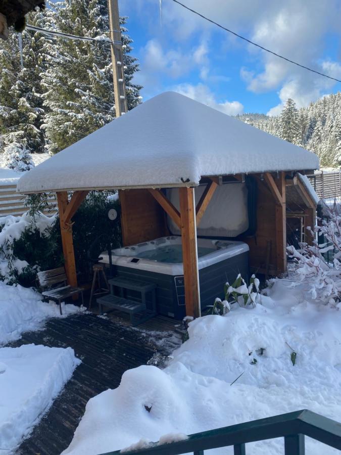 Maison La Deviniere - Sauna Et Spa Compris Accessibles Toute L'Annee Xonrupt-Longemer Exteriér fotografie