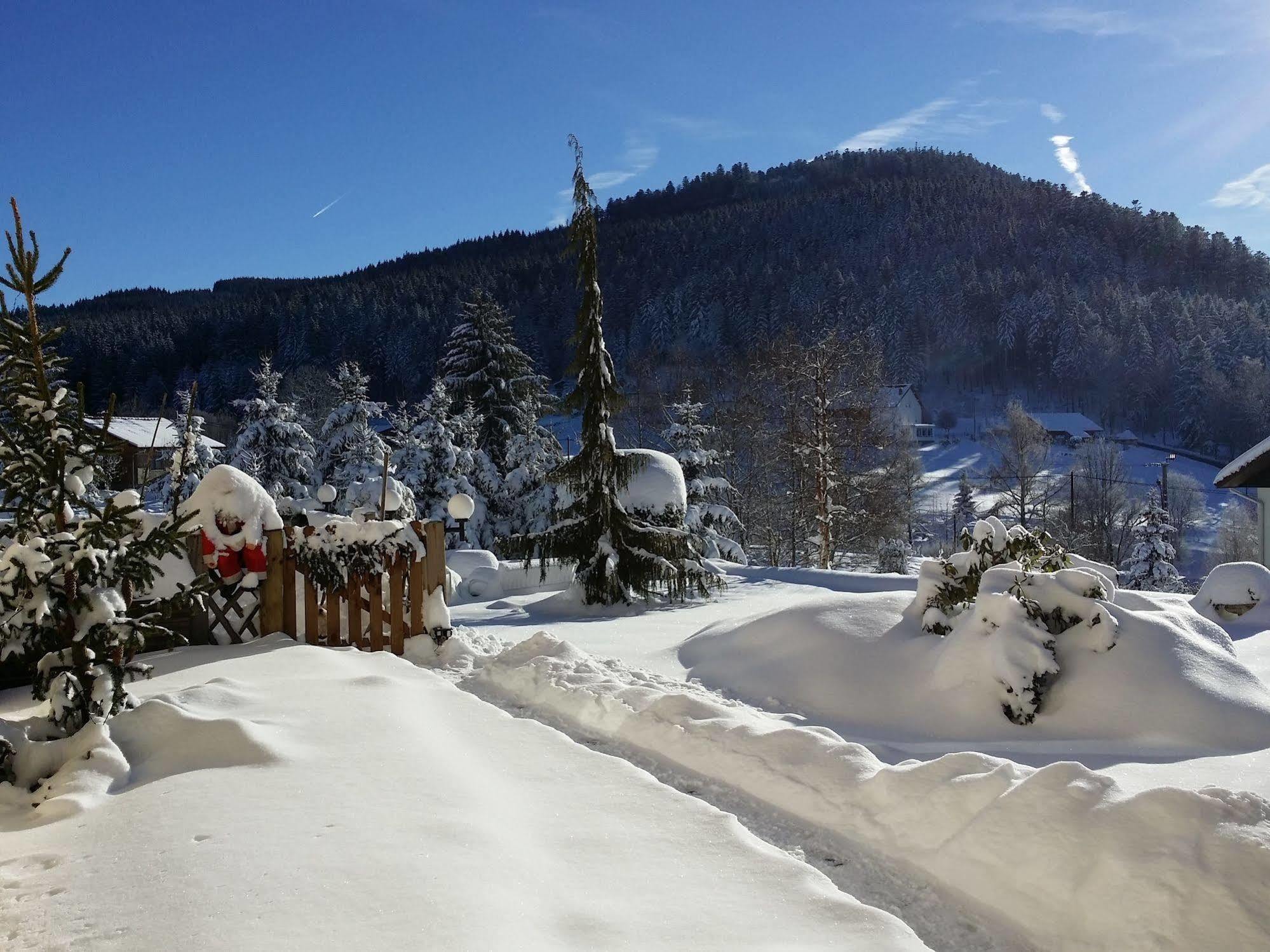 Maison La Deviniere - Sauna Et Spa Compris Accessibles Toute L'Annee Xonrupt-Longemer Exteriér fotografie