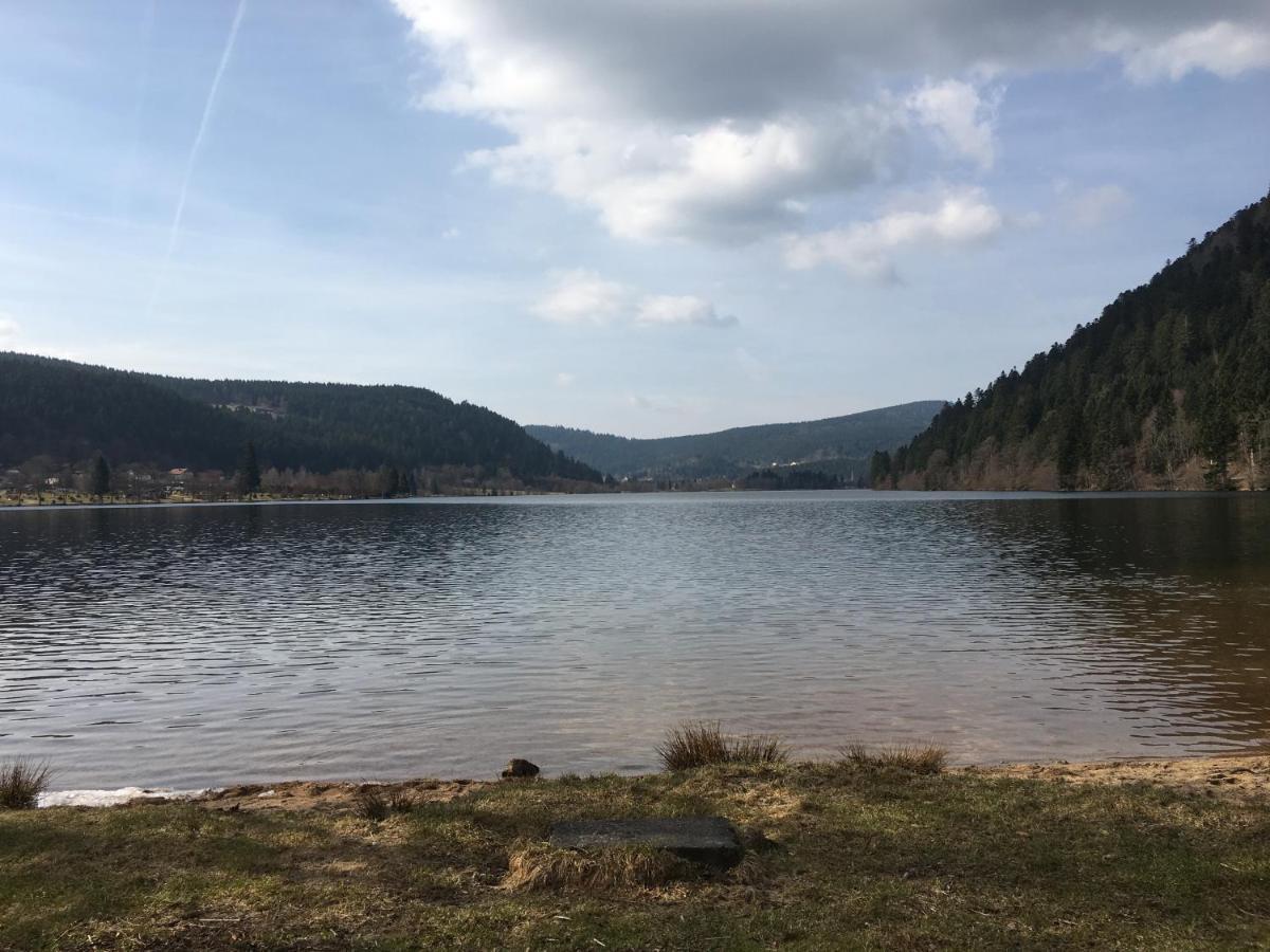 Maison La Deviniere - Sauna Et Spa Compris Accessibles Toute L'Annee Xonrupt-Longemer Exteriér fotografie